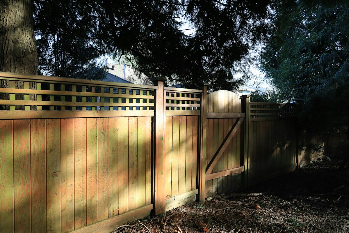 A wooden backyard fence with a gate in afternoon light.