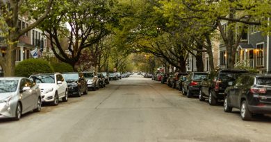 Cars parked along a neighborhood street near residential driveways.