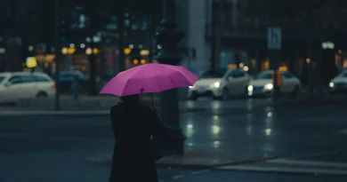 A person walking with an umbrella on a rainy city street.